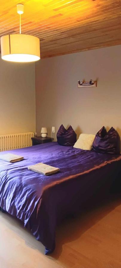 Le Retro Bed & Breakfast La Chapelle-d'Abondance Ngoại thất bức ảnh